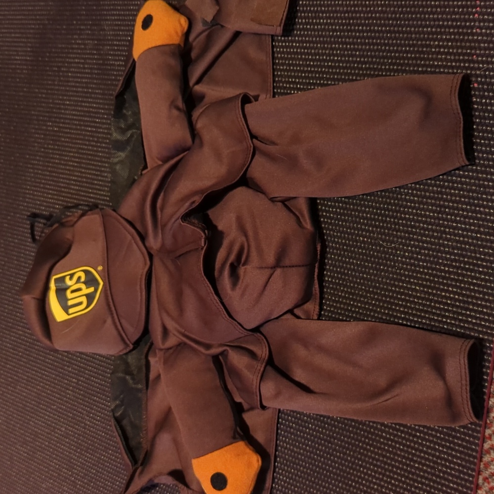 Dog UPS Delivery costume